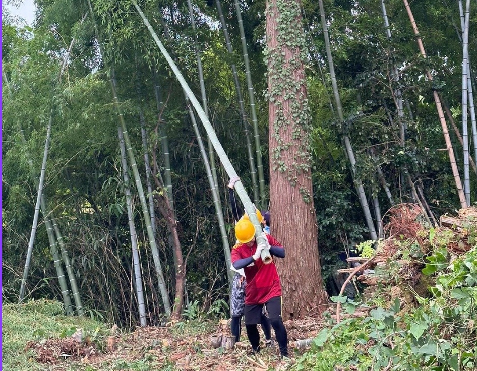 寺泊 (新潟県長岡市)